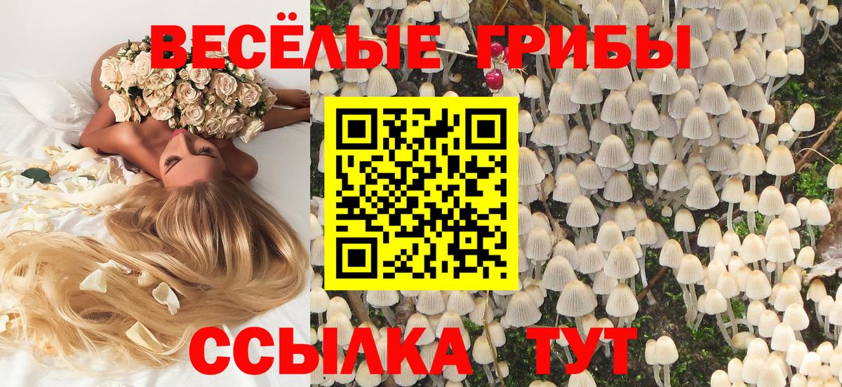 Добрянка  Псилоцибиновые грибы Magic Shrooms  Вход с VPN  купить  цена  Псилоцибиновые грибы ЛСД 